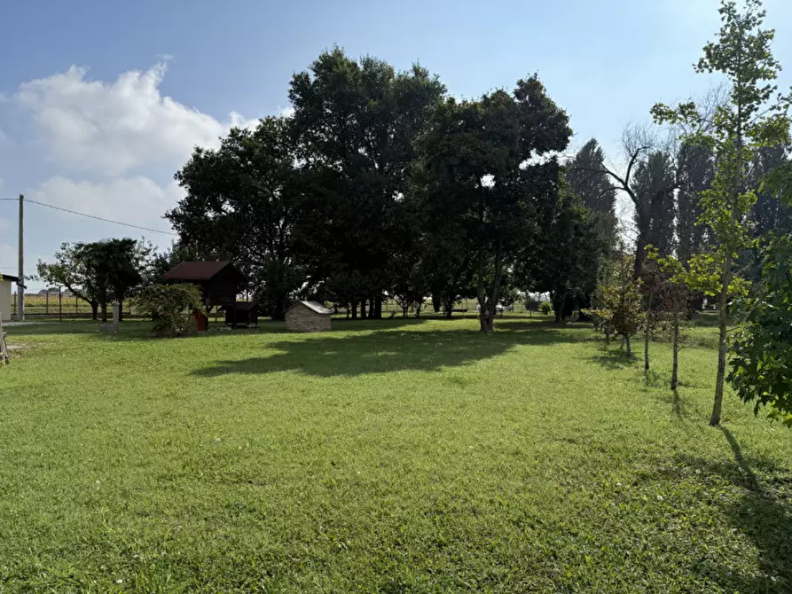 Immagine 10 di Casa indipendente in vendita  in Via Roma a Ponso