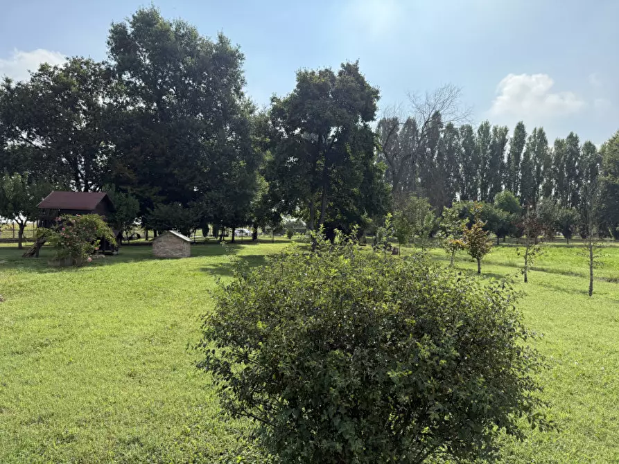 Immagine 11 di Casa indipendente in vendita  in Via Roma a Ponso