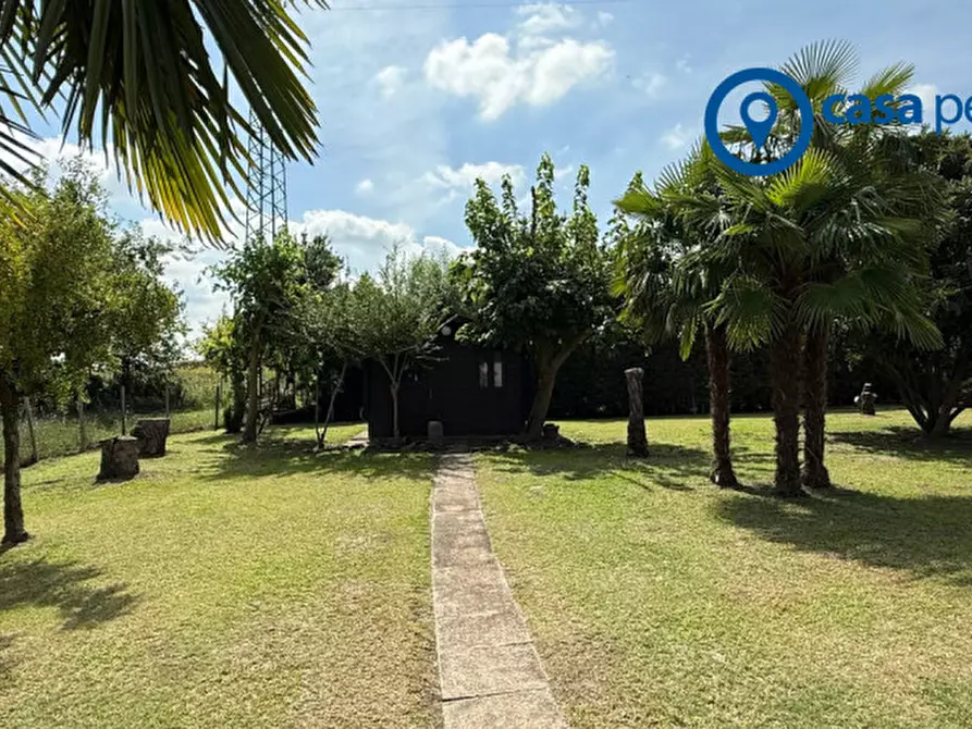 Immagine 18 di Casa indipendente in vendita  in Vicolo Canton 33 a San Martino Di Venezze