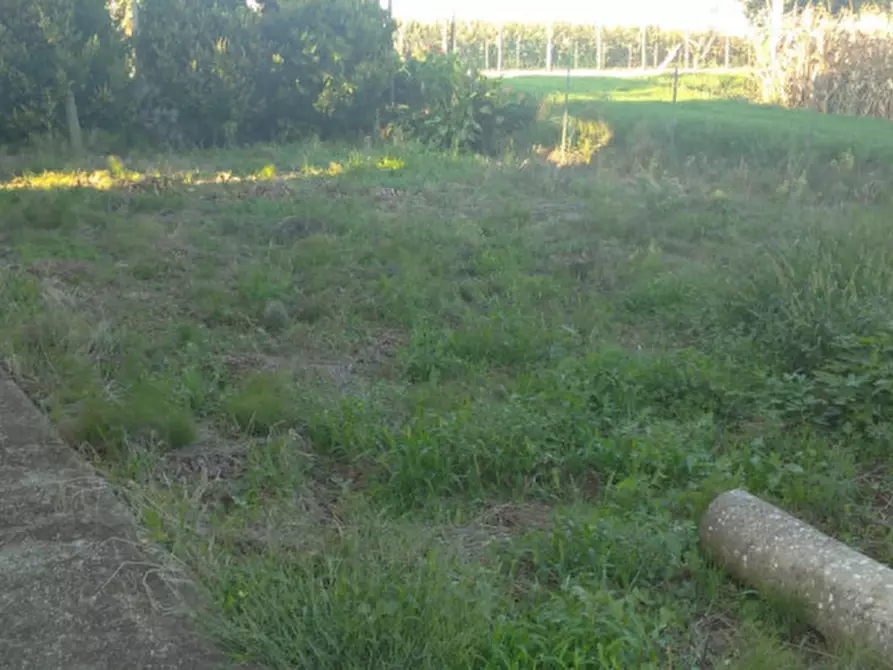 Immagine 4 di Casa indipendente in vendita  in via Canaletta 27 a Boara Pisani