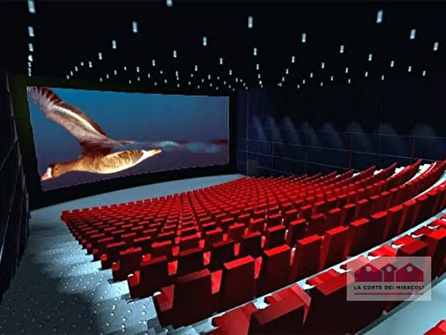 Immagine 5 di Attività commerciale in vendita  a Nanto