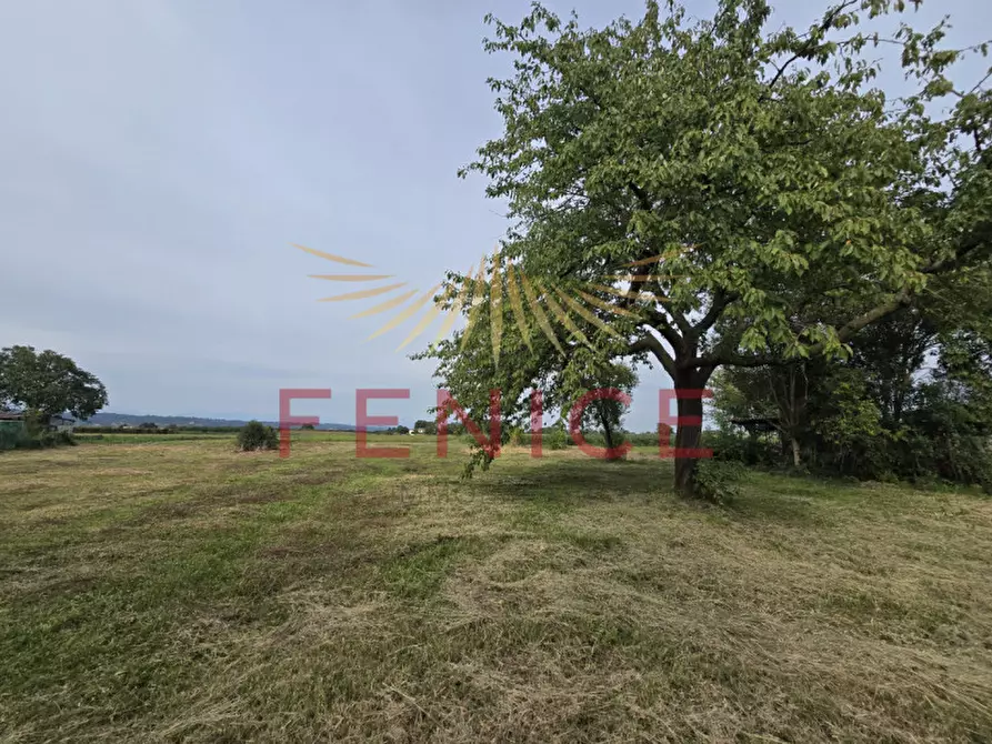 Immagine 5 di Rustico / casale in vendita  in Via Giorgione 13 a Volpago Del Montello