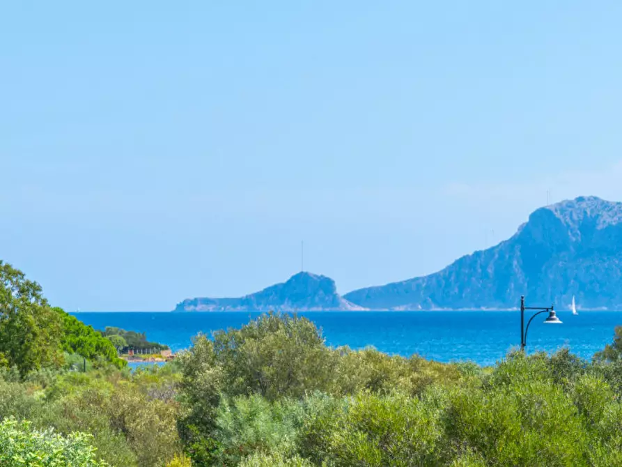 Immagine 4 di Casa bifamiliare in vendita  in Via Rosa Dei Venti a Olbia