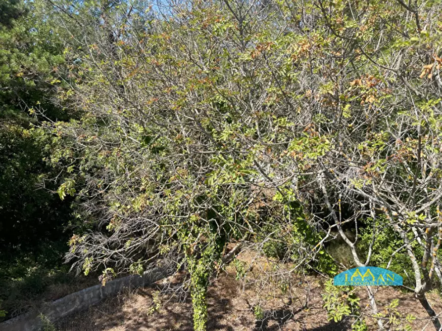 Immagine 18 di Villa in vendita  in Contrada Montedoro Piccolo a Ceglie Messapico
