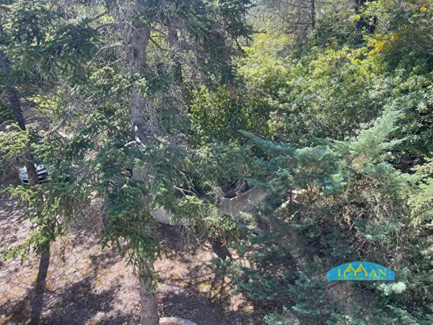 Immagine 21 di Villa in vendita  in Contrada Montedoro Piccolo a Ceglie Messapico