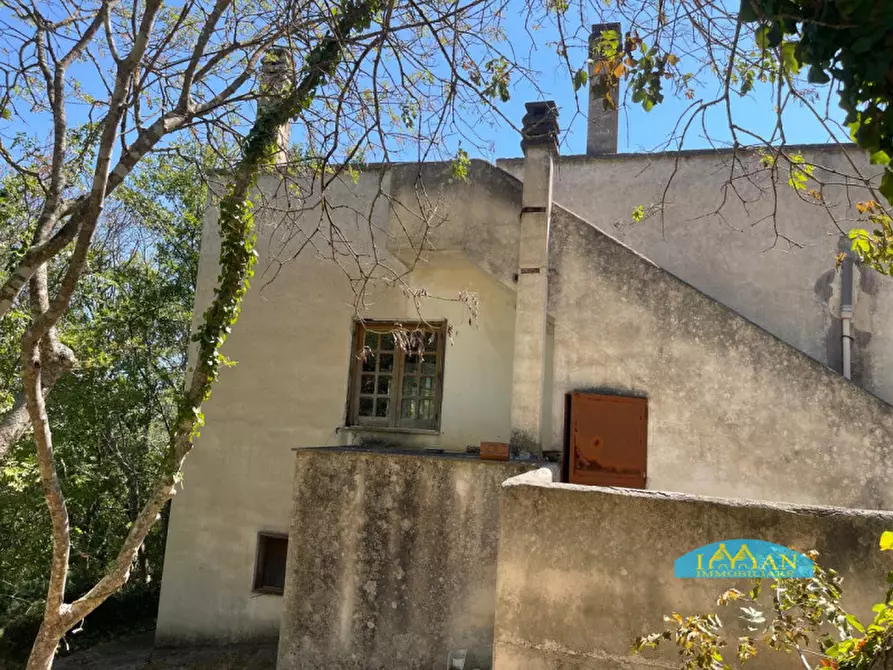 Immagine 27 di Villa in vendita  in Contrada Montedoro Piccolo a Ceglie Messapico