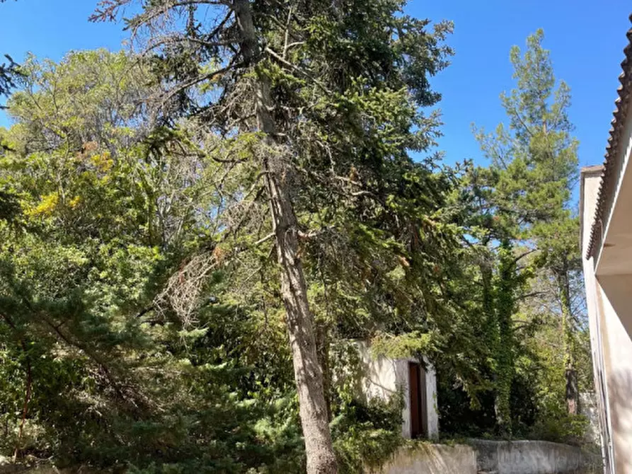 Immagine 29 di Villa in vendita  in Contrada Montedoro Piccolo a Ceglie Messapico