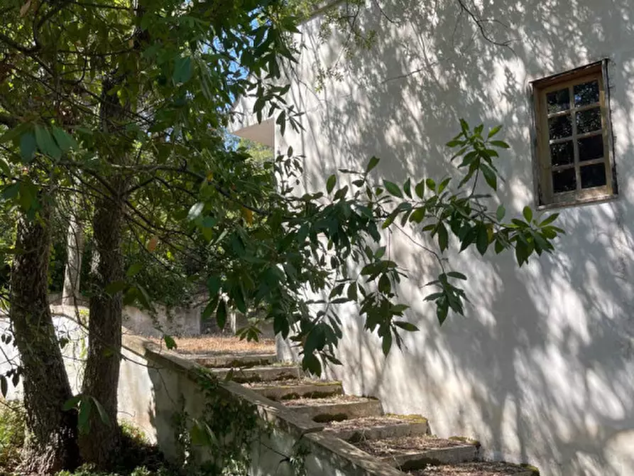 Immagine 31 di Villa in vendita  in Contrada Montedoro Piccolo a Ceglie Messapico