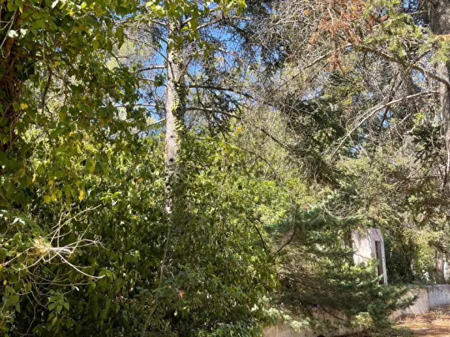 Immagine 32 di Villa in vendita  in Contrada Montedoro Piccolo a Ceglie Messapico
