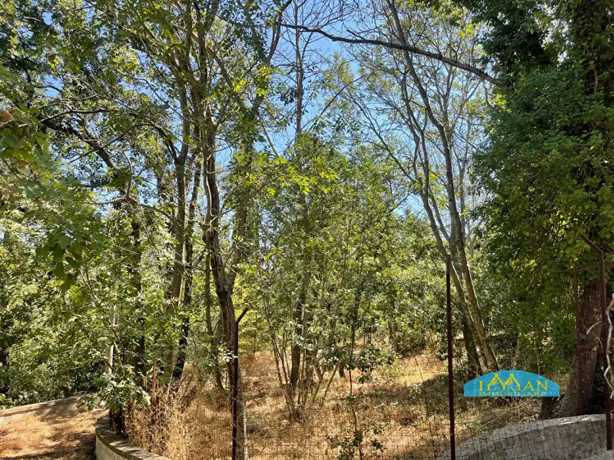 Immagine 33 di Villa in vendita  in Contrada Montedoro Piccolo a Ceglie Messapico