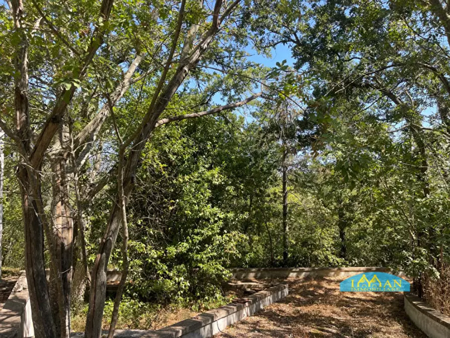 Immagine 34 di Villa in vendita  in Contrada Montedoro Piccolo a Ceglie Messapico