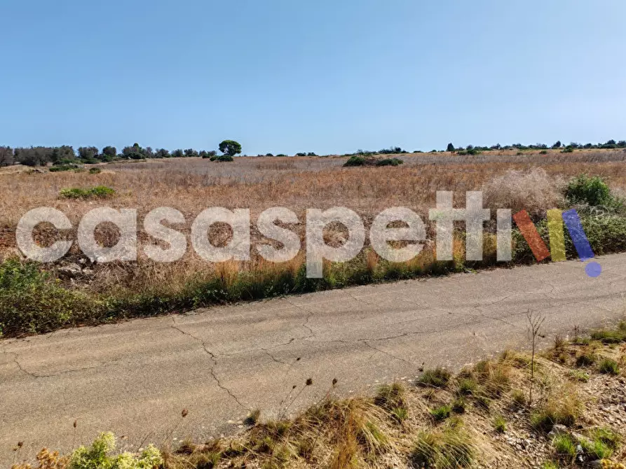 Immagine 2 di Terreno in vendita  in Strada Provinciale Veglie - Torre Lapillo a Veglie