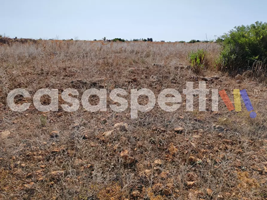 Immagine 5 di Terreno in vendita  in Strada Provinciale Veglie - Torre Lapillo a Veglie