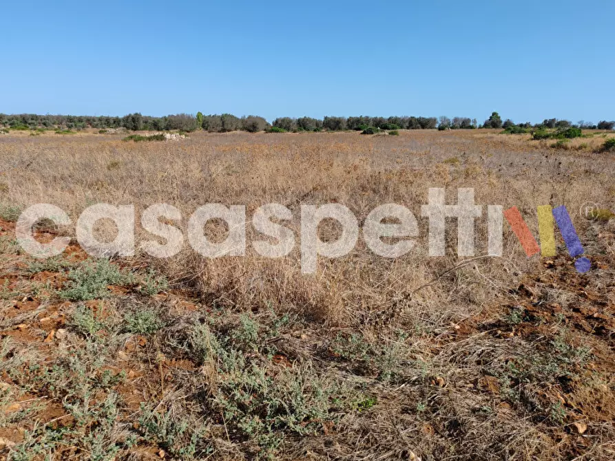 Immagine 6 di Terreno in vendita  in Strada Provinciale Veglie - Torre Lapillo a Veglie