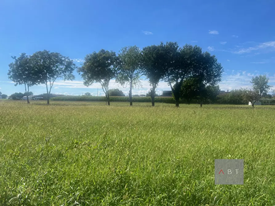 Immagine 1 di Terreno in vendita  a Cittadella