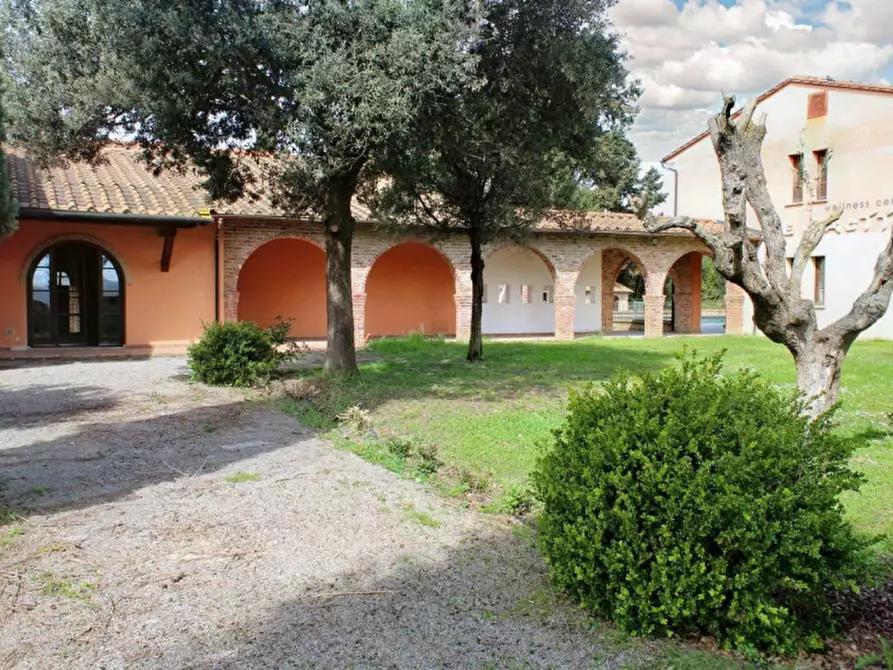 Immagine 4 di Attività commerciale in vendita  in Via di Casalpiano, N. 11 a Campiglia Marittima