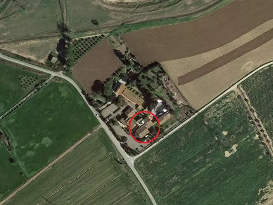 Immagine 14 di Attività commerciale in vendita  in Via di Casalpiano, N. 11 a Campiglia Marittima