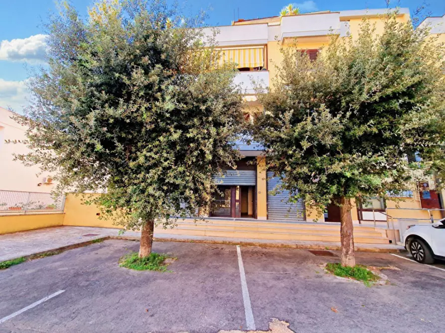 Immagine 8 di Negozio in vendita  in via Martino Luigi Cairoli, N. snc a San Pietro In Lama