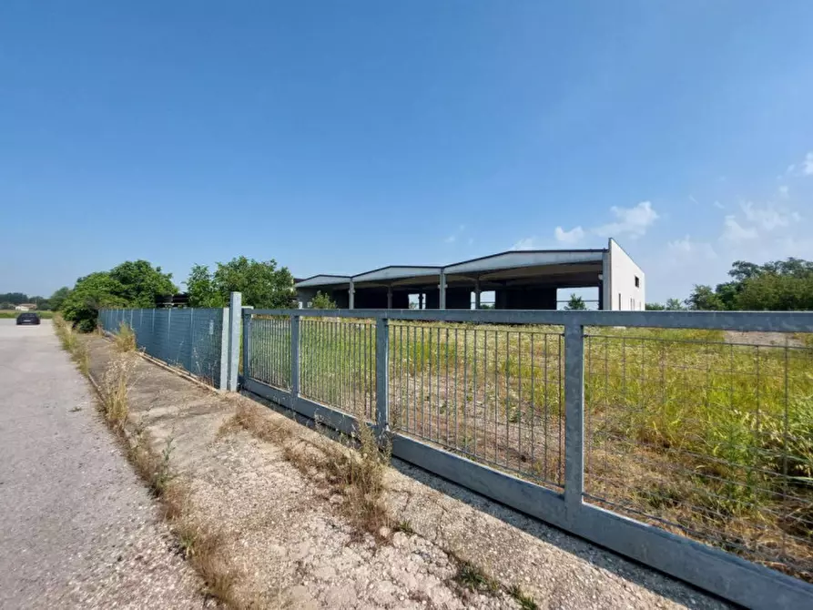 Immagine 2 di Capannone industriale in vendita  in Via Giovanni Marcora, N. snc a Rodigo