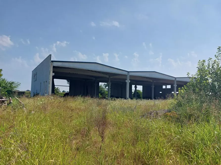 Immagine 7 di Capannone industriale in vendita  in Via Giovanni Marcora, N. snc a Rodigo