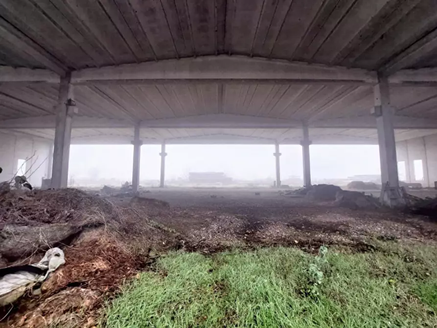 Immagine 14 di Capannone industriale in vendita  in Via Giovanni Marcora, N. snc a Rodigo