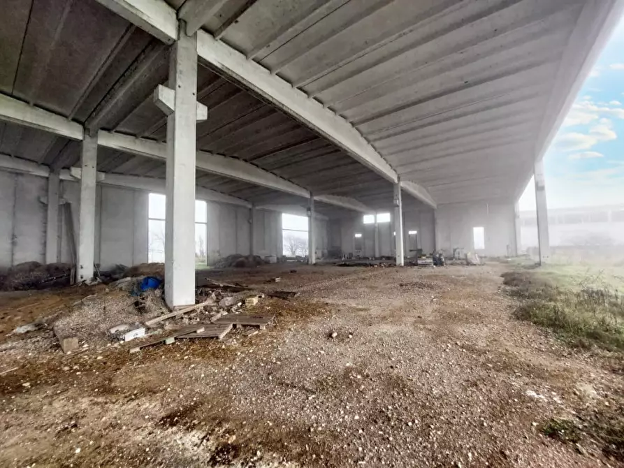 Immagine 15 di Capannone industriale in vendita  in Via Giovanni Marcora, N. snc a Rodigo