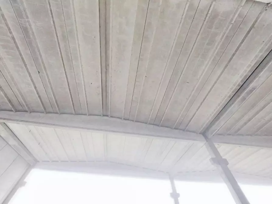 Immagine 17 di Capannone industriale in vendita  in Via Giovanni Marcora, N. snc a Rodigo