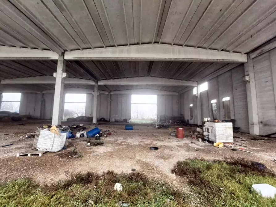 Immagine 20 di Capannone industriale in vendita  in Via Giovanni Marcora, N. snc a Rodigo