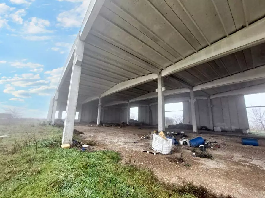 Immagine 21 di Capannone industriale in vendita  in Via Giovanni Marcora, N. snc a Rodigo