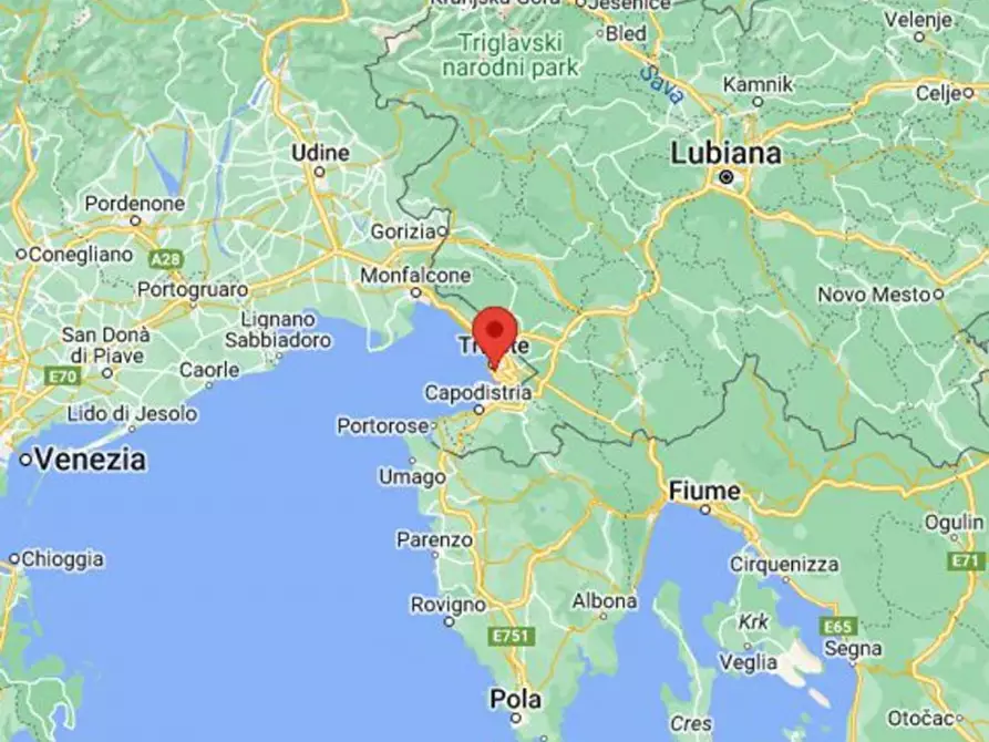 Immagine 13 di Negozio in vendita  in Via Italo Svevo, N. 14-16 a Trieste