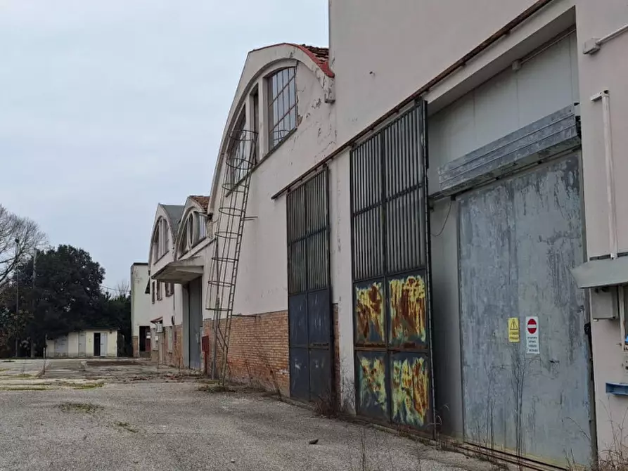 Immagine 6 di Capannone industriale in vendita  in Via Puntiroli, N. 99 a Conselice