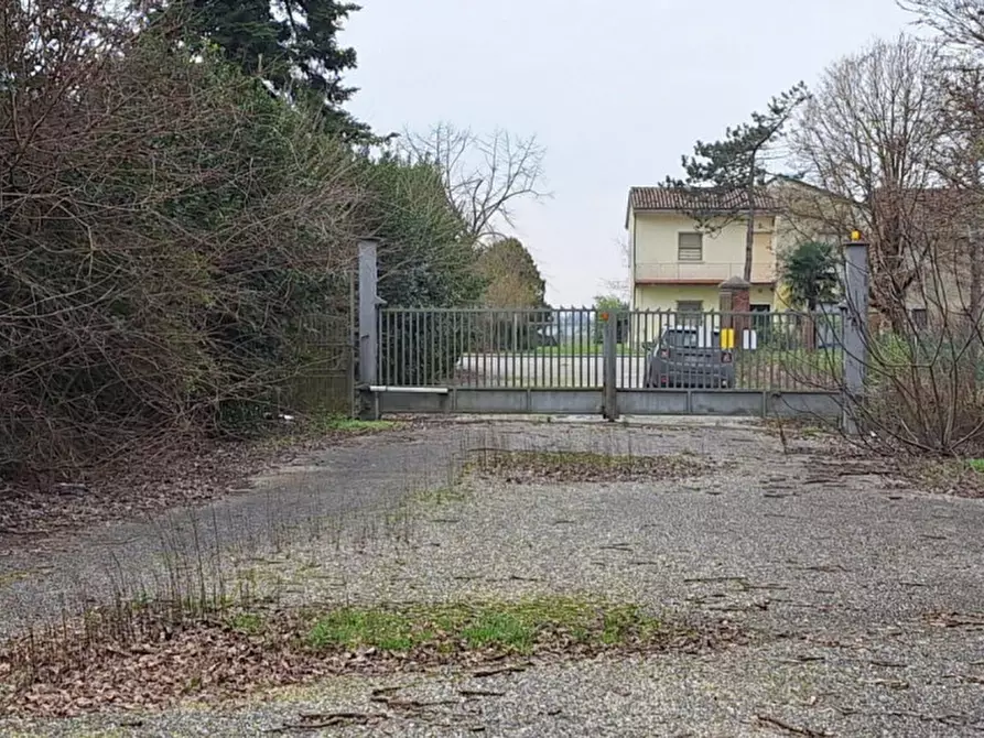 Immagine 15 di Capannone industriale in vendita  in Via Puntiroli, N. 99 a Conselice