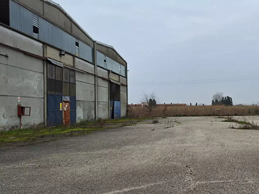 Immagine 19 di Capannone industriale in vendita  in Via Puntiroli, N. 99 a Conselice