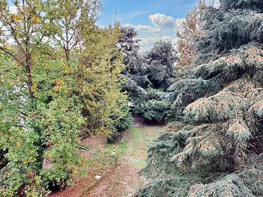 Immagine 4 di Villa in vendita  in Viale Cairoli, N. 103 a Treviso