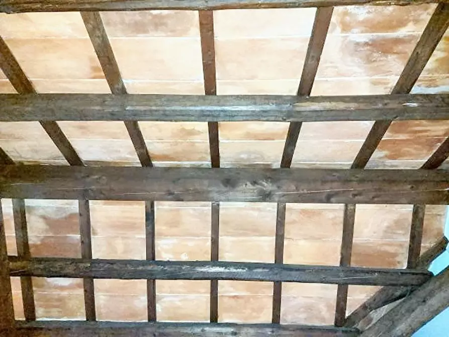 Immagine 10 di Villa in vendita  in Viale Cairoli, N. 103 a Treviso