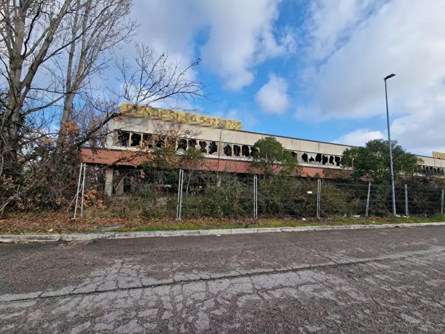 Immagine 3 di Capannone industriale in vendita  in corridonia a Corridonia