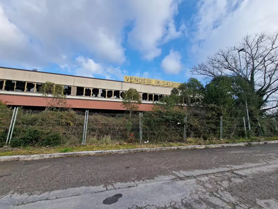 Immagine 4 di Capannone industriale in vendita  in corridonia a Corridonia