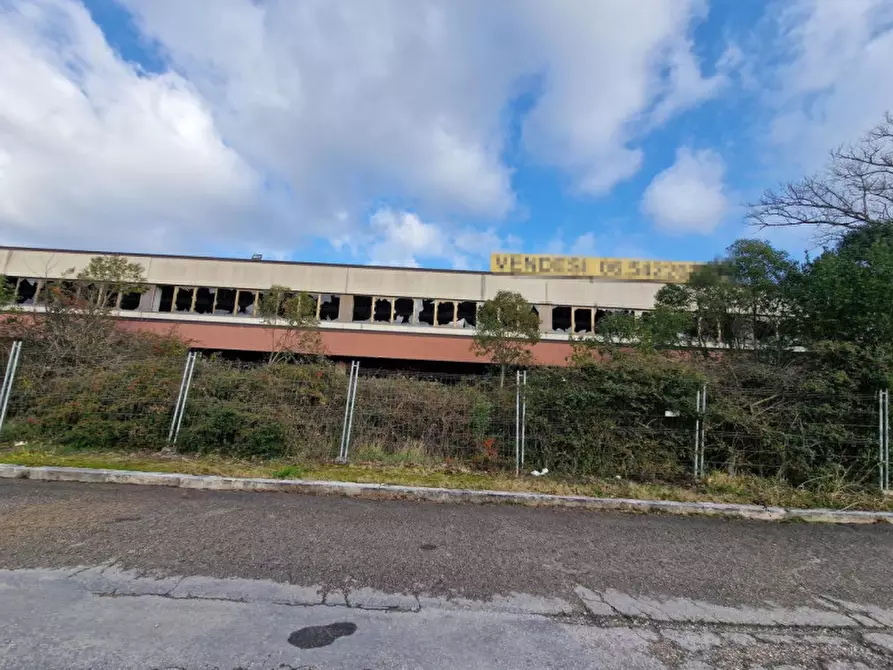 Immagine 5 di Capannone industriale in vendita  in corridonia a Corridonia