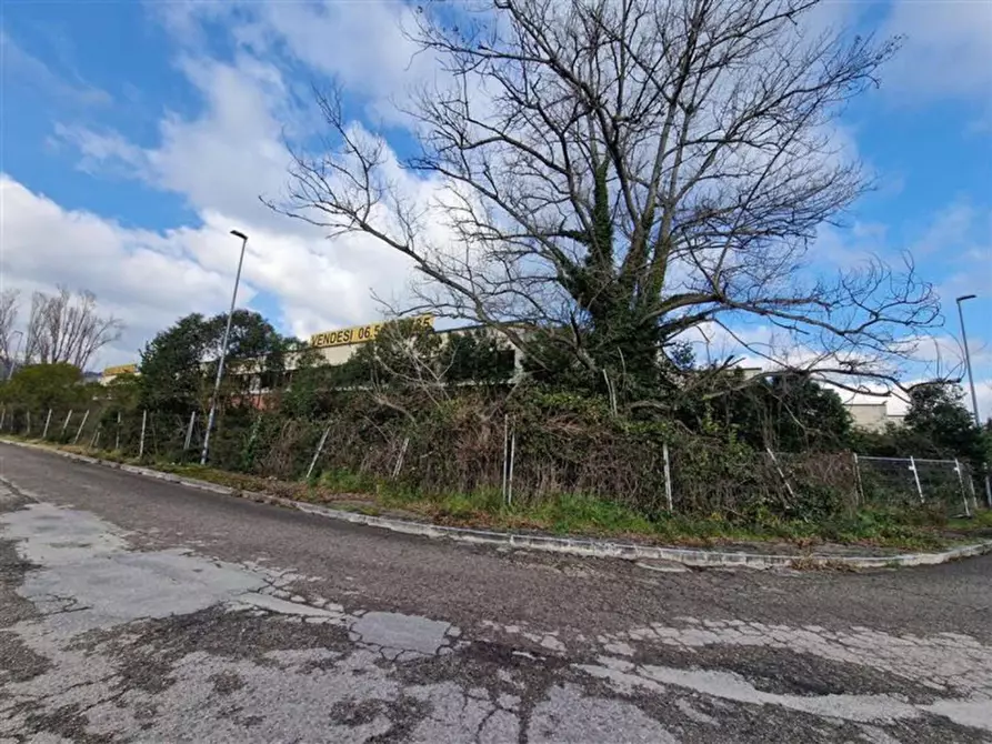 Immagine 6 di Capannone industriale in vendita  in corridonia a Corridonia