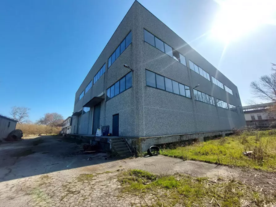 Immagine 2 di Capannone industriale in vendita  in Giulianova, N. snc a Giulianova