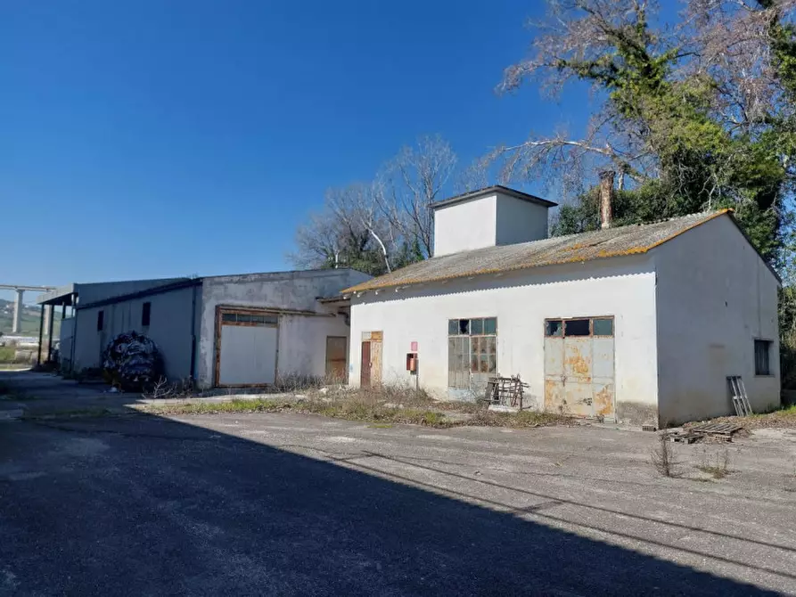 Immagine 8 di Capannone industriale in vendita  in Giulianova, N. snc a Giulianova