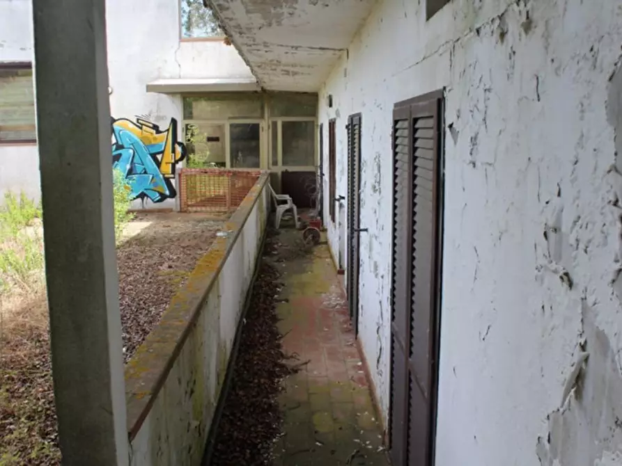 Immagine 15 di Attività commerciale in vendita  in Via di Chianciano, N. 126/C a Sarteano