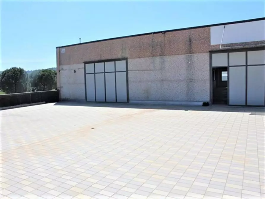 Immagine 5 di Capannone industriale in vendita  in Via Ponte All'Esse Vertighe, N. snc a Monte San Savino