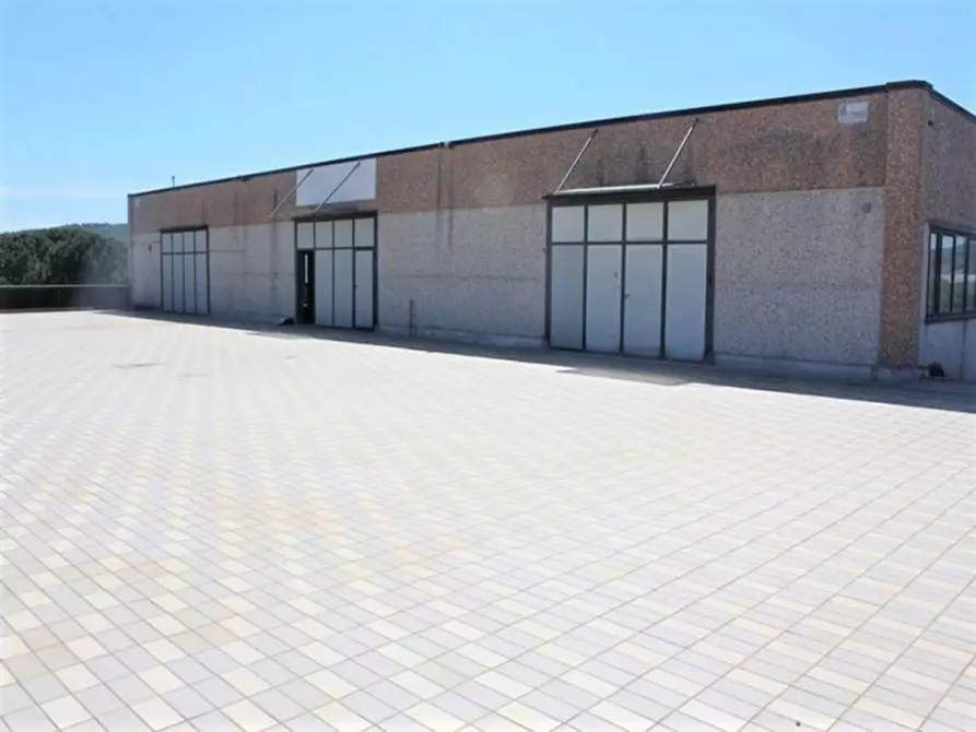 Immagine 6 di Capannone industriale in vendita  in Via Ponte All'Esse Vertighe, N. snc a Monte San Savino