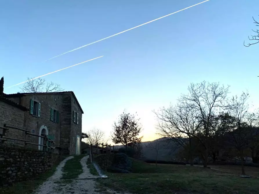 Immagine 16 di Villa in vendita  in Brisighella, N. snc a Brisighella