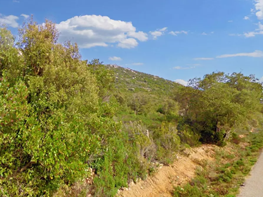 Immagine 2 di Terreno in vendita  in Aglientu, N. snc a Aglientu