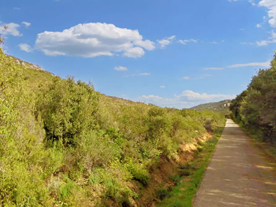 Immagine 3 di Terreno in vendita  in Aglientu, N. snc a Aglientu