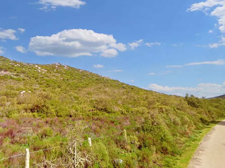 Immagine 4 di Terreno in vendita  in Aglientu, N. snc a Aglientu