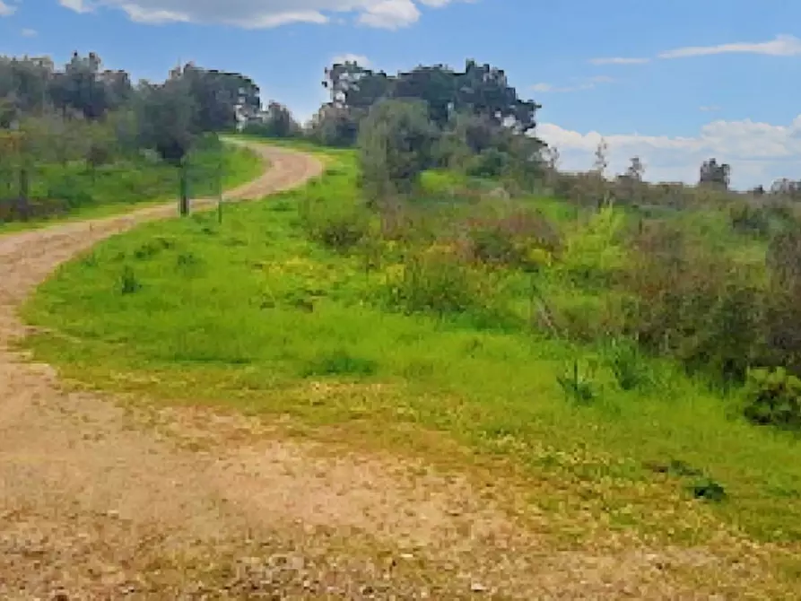 Immagine 6 di Terreno in vendita  in Aglientu, N. snc a Aglientu