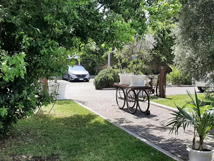 Immagine 13 di Attività commerciale in vendita  in zona centrale a Putignano